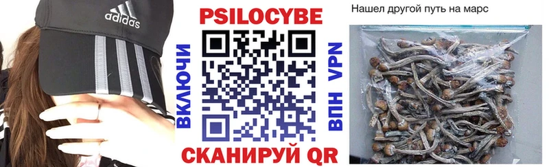 Галлюциногенные грибы прущие грибы  Иланский 